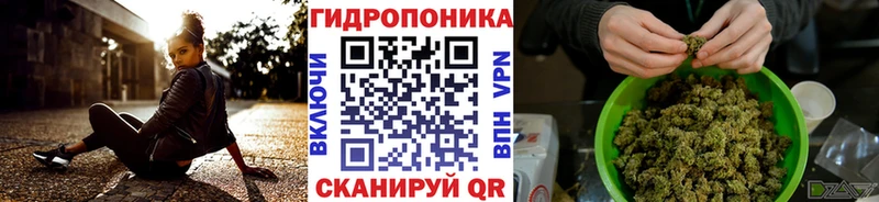 Бошки Шишки ГИДРОПОН  купить  цена  Коркино 